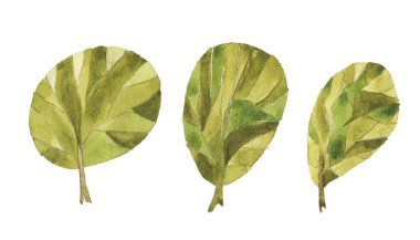 Suluboya çizimi. Ağaç kavramı. Beyaz arka planda izole edilmiş elementler. Sunumunun tasarımı için arkadaş çevresi. Ekoloji. Yeşil