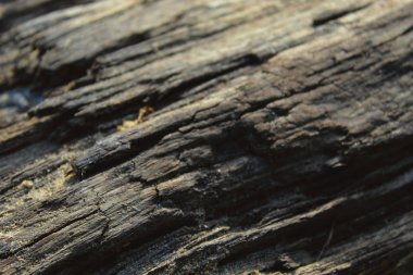 Ahşap doku güzeldir