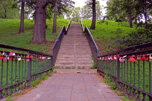 Ormandaki merdivenler.