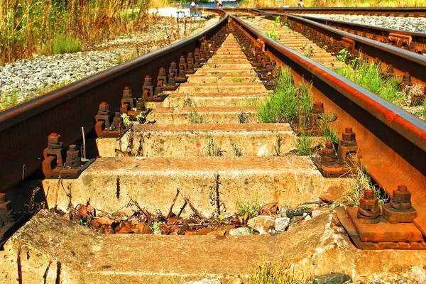  Yaz raylar hatları Tren