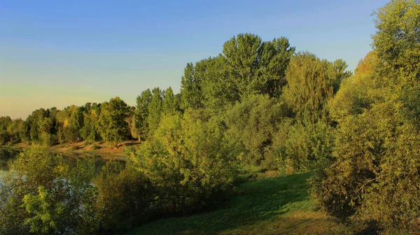 Nehir Ağaçlarla Dolu Sonbahar Manzarası — Stok fotoğraf