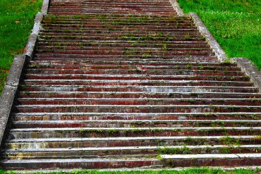 Kamu Parkı yukarı park doğa eski mimari yeşil çimen