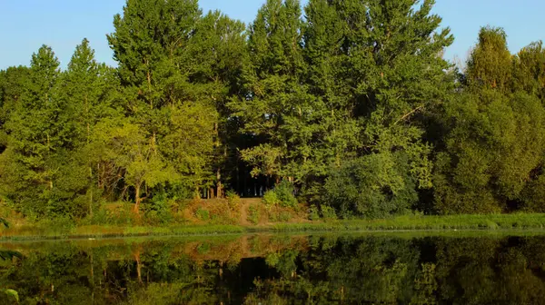 Jatuh Danau Refleksi Pohon Matahari Terbit Air Musim Gugur Yang — Stok Foto