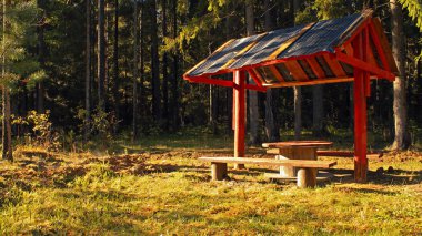 İyi piknik spot orman doğa Altın Sonbahar akşam