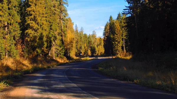 Orman yolu akçaağaç altın sonbahar Akçaağaç Sonbahar güzel doğa mavi gökyüzünde bırakır