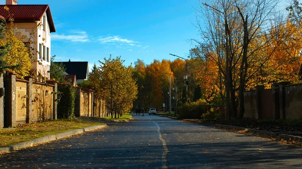 Autumn City Street Walk Fall Trees Clear Day Cityscape Beautiful — Stock Photo, Image