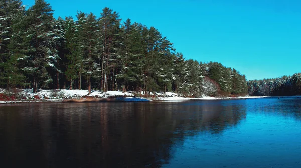 Kış Gölü mavi gökyüzü orman kar manzara güzel doğa manzarası