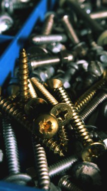 Altın vida somun kutusunda