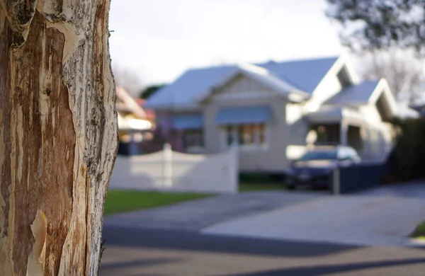 Vista Casa Borrosa Que Simboliza Hogar Ideal Está Lejos Realidad — Foto de Stock