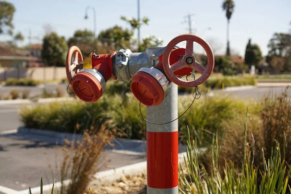 Bentleigh Vic Austrálie Aug 2018 Požární Hydrant — Stock fotografie