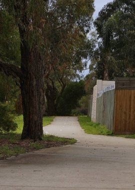 Asfalt yol ağaçlarının forrest yeşil çim ve çok benzer Park