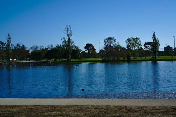 Vista Tarde Albert Park Lake Domingo Com Céu Azul Água — Fotografia de Stock