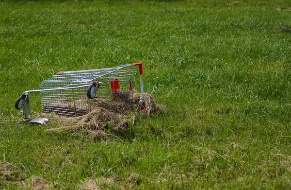 Chariot Abandonné Sur Herbe Verte Parc Public — Photo