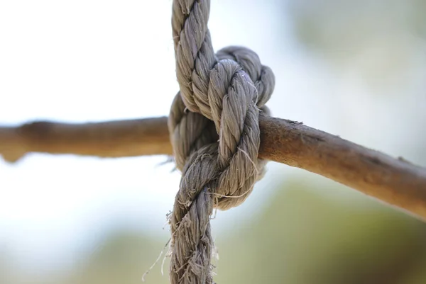自然背景をぼかしで破れた古いロープの結び目 — ストック写真