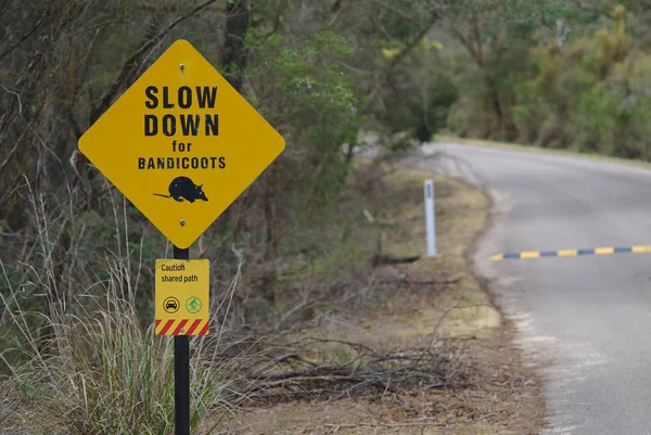 Bandicoots ve sarı renkte Bisiklet ve araba işaret paylaşılan yol için yavaşlatmak