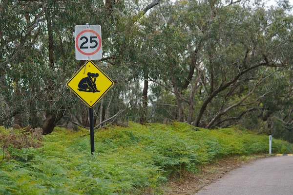 Koala simgesi Avustralya için dikkat üstünde saatte 25 km hız sınırı işareti