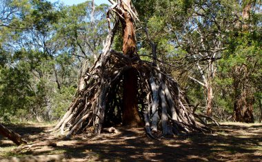 Güneşli günde orman ortasında ağaç dallarının dışında yapılmış ev