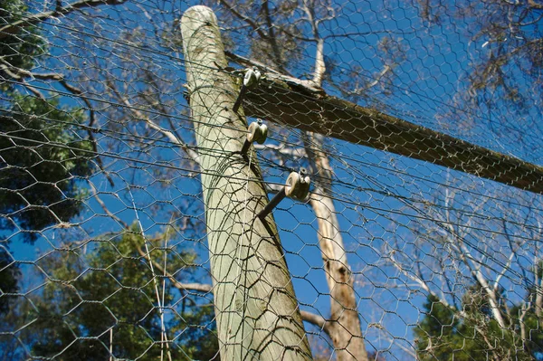 Vue Bas Clôture Électrique Avec Arbres Fond Bleu Ciel — Photo