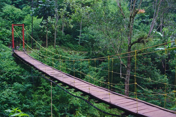 Ponte Madeira Pendurada Com Corda Amarela Quadro Vermelho Floresta — Fotografia de Stock