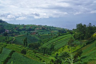 Manzaralı yeşil tepeler, alan ve bazı evler ve ağaçları ile bulutlar