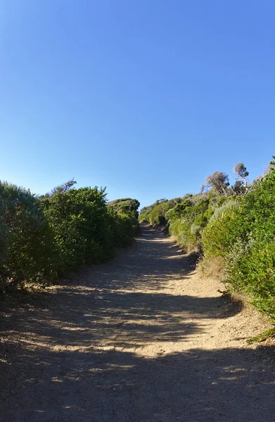 Sendero para caminar en el parque — Foto de Stock