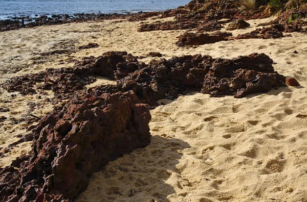 Stenen op strand — Stockfoto