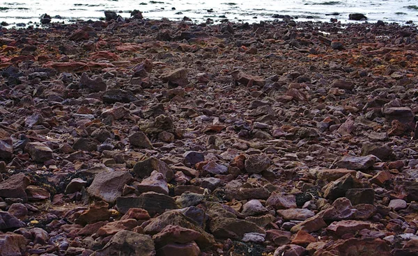 Pedras e seixos na praia — Fotografia de Stock