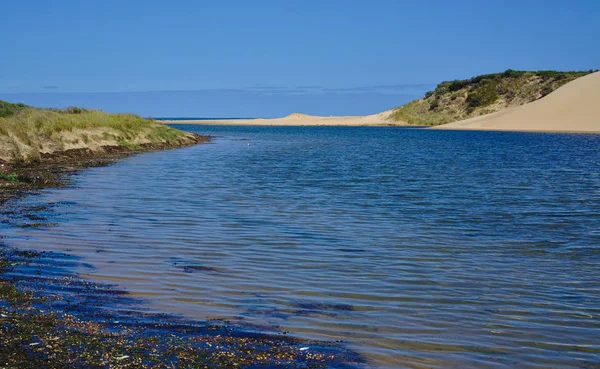 Estero y dunas con plantas silvestres — Foto de Stock