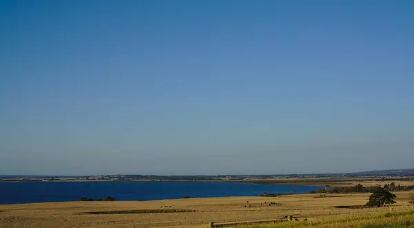 Fernsicht auf blaues Meer und trockenes Gras auf dem Land — Stockfoto