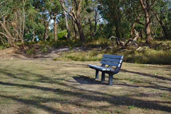 Empty bench in middle of park