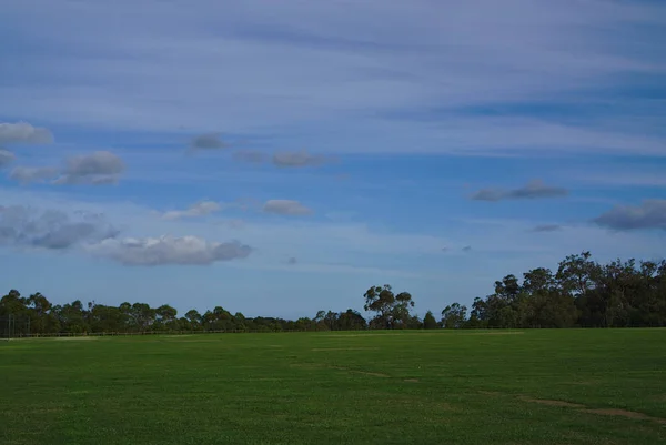 Enorme campo de grama com céu azul — Fotografia de Stock