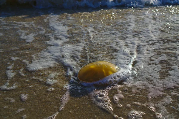 Jelly blob on beach sand — Stock Photo, Image