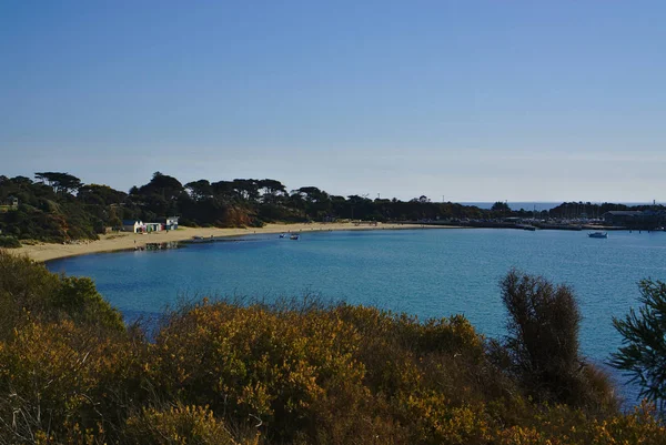 Çalılıklardan huzurlu plajın uzak manzarası