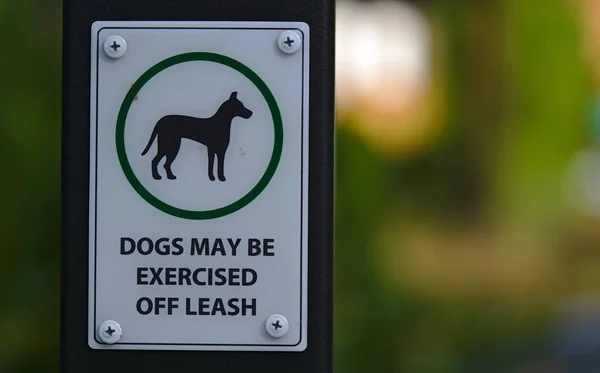 Los perros pueden ser ejercitados fuera de signo de correa — Foto de Stock