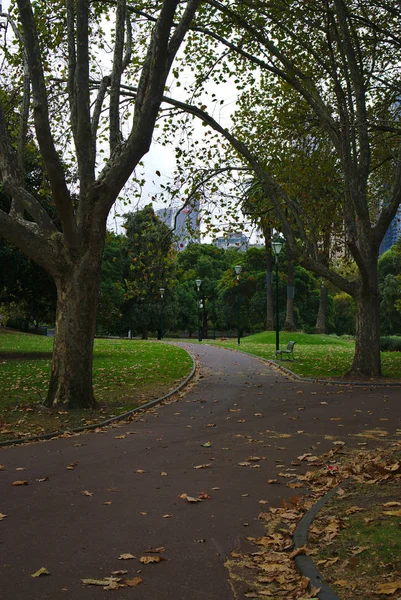 Leerer Park mit getrocknetem Laub auf dem Boden — Stockfoto