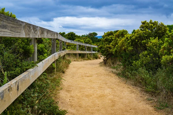 Yüzeyinde kum, kenarında yabani bitkiler olan yürüyüş yolu.