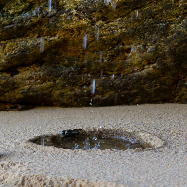 Vista Perto Gotas Água Lagoa Minúscula Areia — Fotografia de Stock