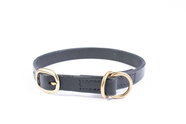 Black leather dog collar isolated on white background.