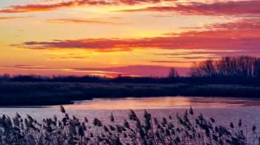 Gün batımı göl ve orman, 4 k video zaman atlamalı, Sonbahar zaman.