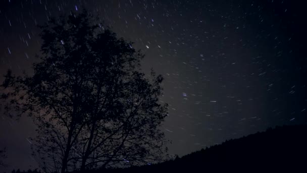 移动的星星 前景是树 — 图库视频影像