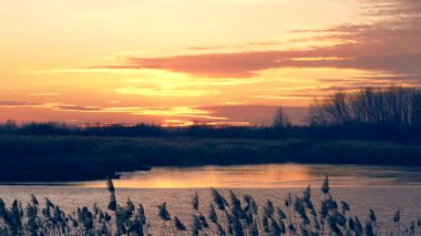 Gün batımı göl ve orman, 4k video.