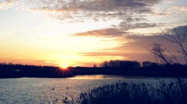 Gün batımı göl ve orman, 4k video