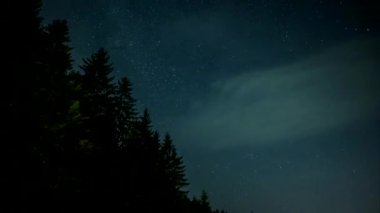 Gece gökyüzü ve orman üzerinde yıldız hareketi, 4k video