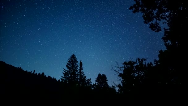 Éjszakai Égbolt Csillagokkal Videó Idő Megszűnik — Stock videók