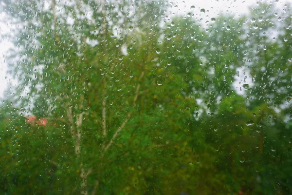 Raindrops Window Autumn — Stock Photo, Image