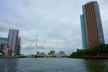 Apartmanlar ve köprü Sumida nehir Tokyo Japonya                              