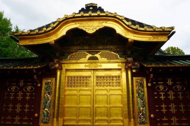Toshogu tapınak ünlü Tapınağı Tokyo'daki Ueno Park altın kapı