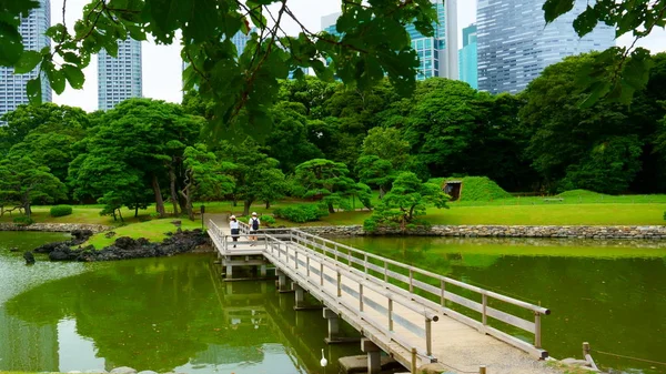 Gran Atractivo Jardín Paisajístico Tokio Tipo Con Chica Puente Madera — Foto de Stock