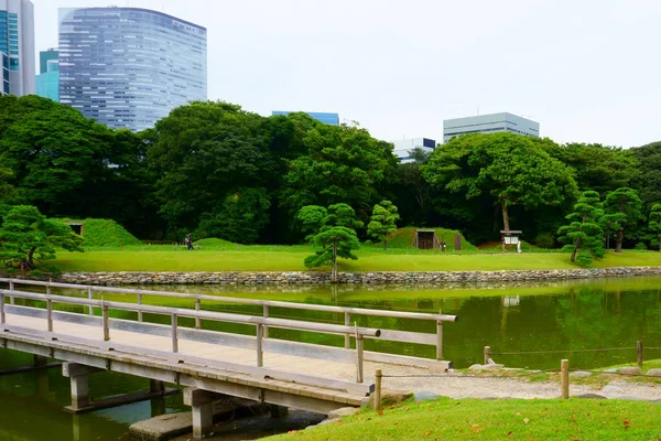 Gran Atractivo Jardín Paisajístico Tokio Jardín Japonés Fondo Edificios Modernos — Foto de Stock