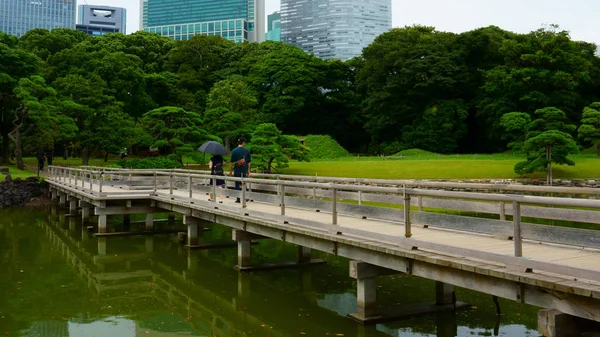 Gran Atractivo Jardín Paisajístico Tokio Tipo Con Chica Puente Madera — Foto de Stock
